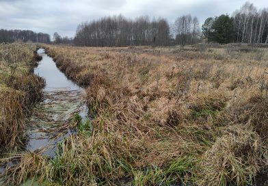 Łąki nad Kostrzyniem