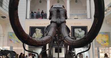 Ależ to była wycieczka! Ależ to była wycieczka!