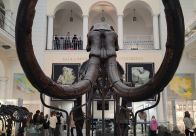 Ależ to była wycieczka! Ależ to była wycieczka!