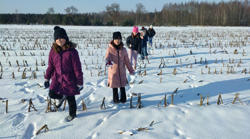 Zima jest piękna!