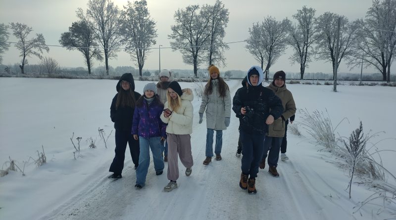 Zima pod światło i ze światłem