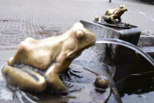 wycieczkaSzukajac021