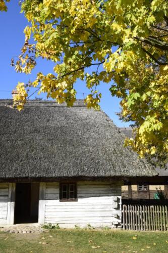 wycieczkaSzukajac035