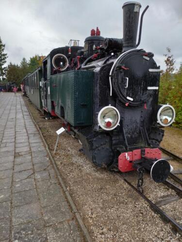 wycieczkaSzukajac045