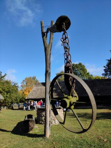 wycieczkaSzukajac052