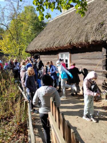 wycieczkaSzukajac053