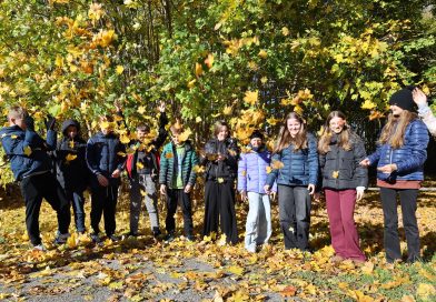 Na dywanie z liści Na dywanie z liści