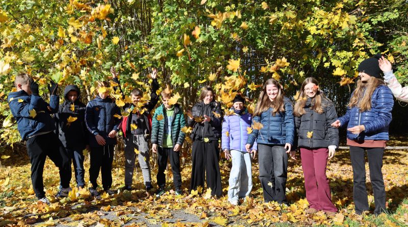 Na dywanie z liści Na dywanie z liści